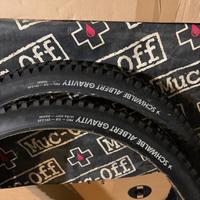 Schwalbe Albert Radial Gravity pro 29 x 2.60