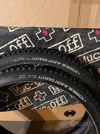 Schwalbe Albert Radial Gravity pro 29 x 2.60