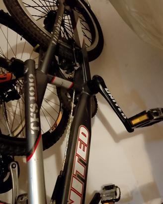 60bici