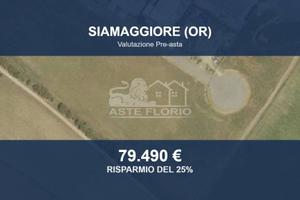Immobile in asta di 3500 m² a Siamaggiore