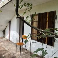 Rustico località Costa Alta con bosco