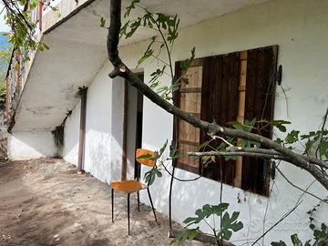 Rustico località Costa Alta con bosco