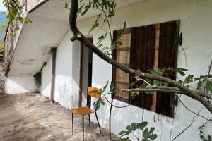 Rustico località Costa Alta con bosco