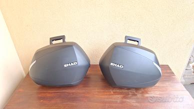 SHAD VALIGIE LATERALI SH36 COVER CARBON LOOK
