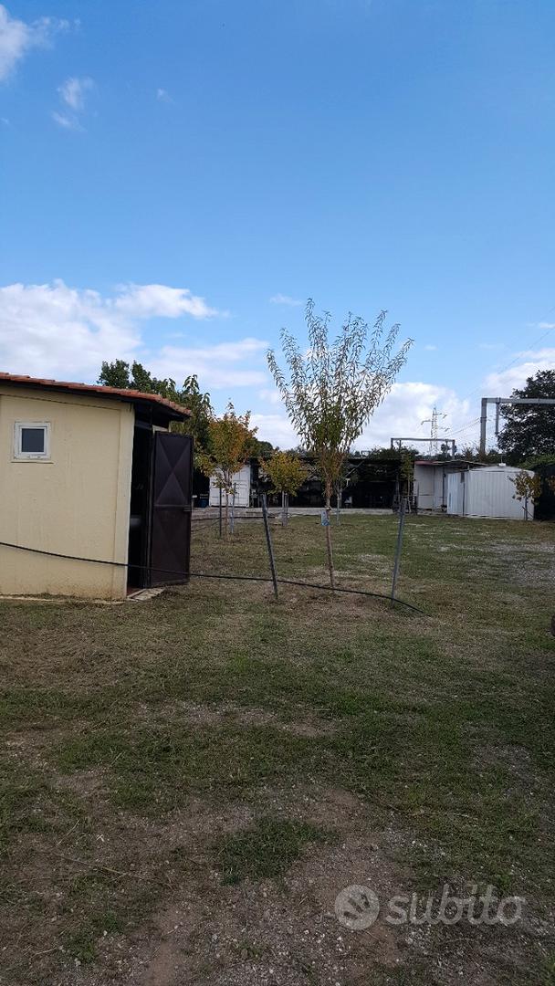 Terreno agricolo - Altro