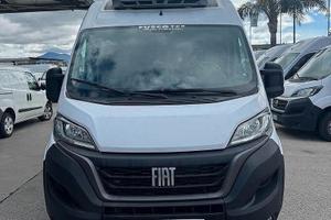 Fiat ducato frigo pm-ta 2.3 mtj 160cv - 09.2020
