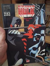 Fumetto Devil & Hulk 