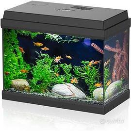 acquario come in foto