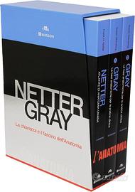 Cofanetto Netter Gray