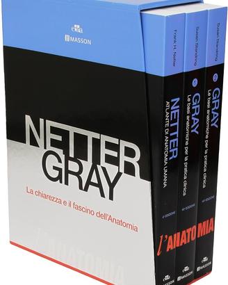 Cofanetto Netter Gray