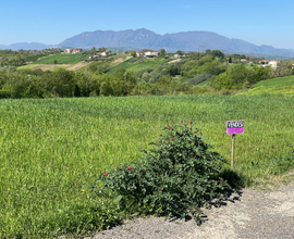 Terreno agricolo