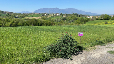 Terreno agricolo