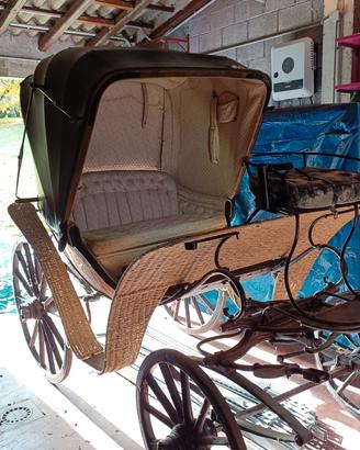 Carrozza cavalli da donna Duc De Dame Vittoria