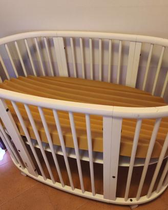next to me stokke evolutiva