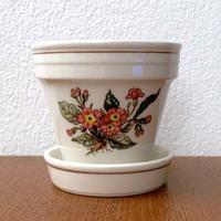 VILLEROY & BOCH Vasi con piattini BOTANICA e NAIF