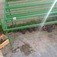 scaffalatura in ferro