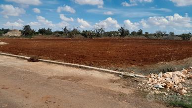 Terreno agricolo 