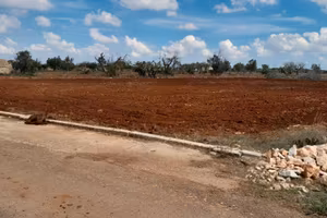 Terreno agricolo 