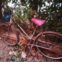 bici da donna 