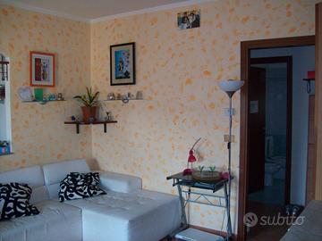 Appartamento luminoso