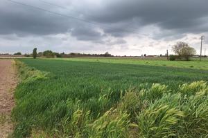  Terreno agricolo