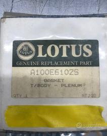 LOTUS GUARNIZIONE A100E61029 GASKET T/BODY PLENUM 