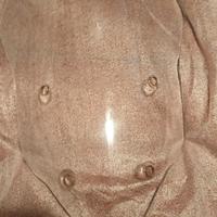 cupolino ducati multistrada 1200 del 2013/14