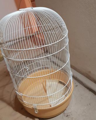 GABBIA PER UCCELLI