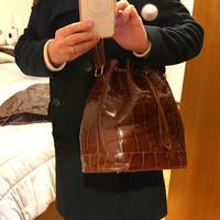 Borsa coccodrillo