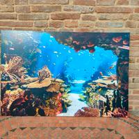 Canvas quadro su tela Fondale marino