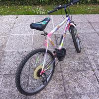 Bicicletta