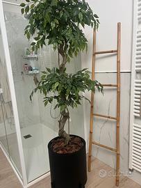 Scala decorativa in bamboo