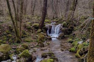 Boschi bordo fiume facilmente accessibili