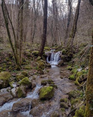 Boschi bordo fiume facilmente accessibili