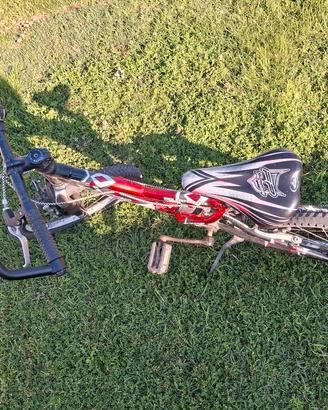 mtb ammortizzata.