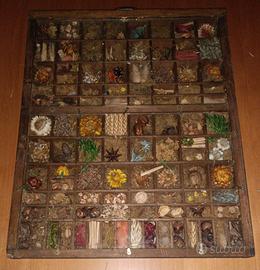 Bacheca porta fiori secchi