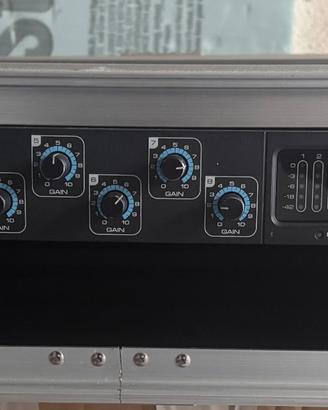 Focusrite saffire pro 40+ case 2 U
