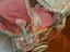 Immagine 3