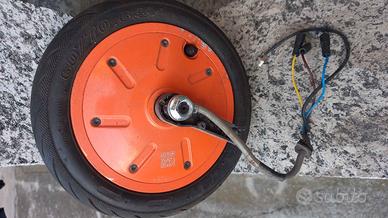 Ruota monopattino elettrico 36v 350w 60/70 6.5