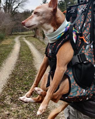 zaino per cane