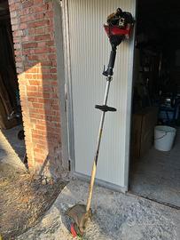 Decespugliatore