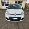 fiat-panda-1-2-69cv-benz-2020-km41000