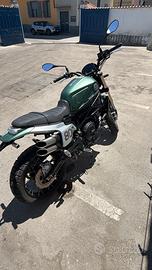 BENELLI LEONCINO 800 trail