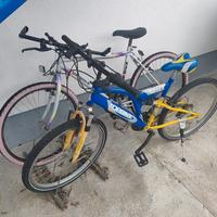 2 bici ragazzi