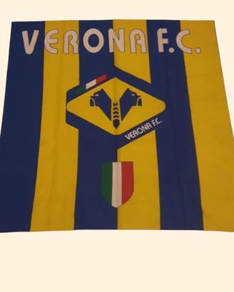 Stendardo Hellas Verona 