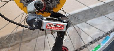 Mountain Bike Esperia Dominators-prezzo trattabile