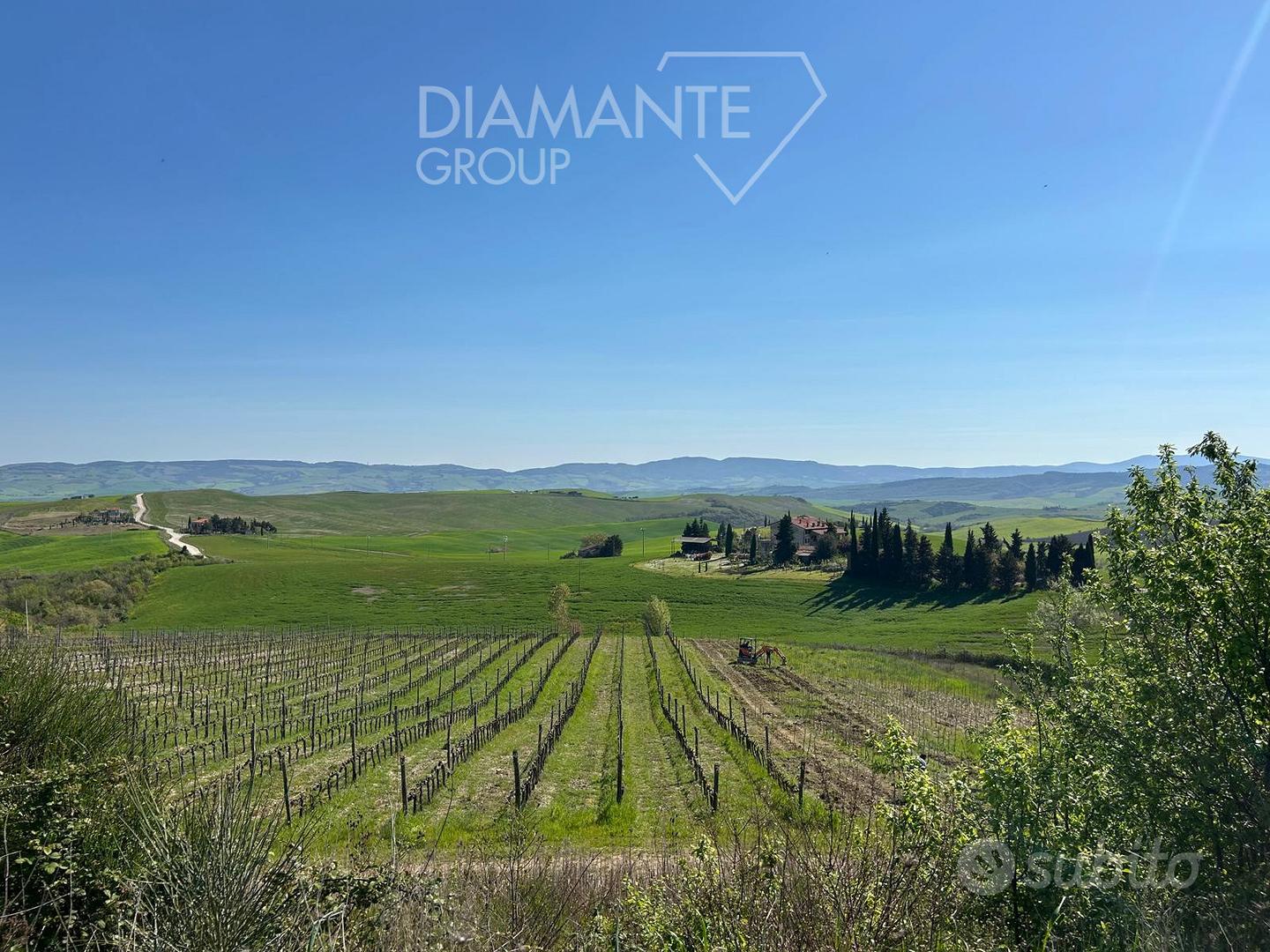 Terreno agricolo di 4 ettari con vigneto Bio Orcia - Vista 2