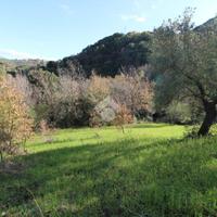 TER. AGRICOLO A OGLIASTRO CILENTO
