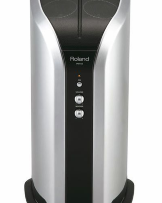 Amplificatore Roland PM-03