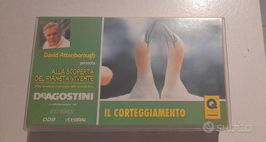 VHS il corteggiamento